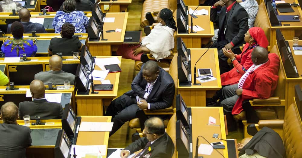 SA Reacts: SONA 2021 Proves the Country Can Reduce Parliament to 50