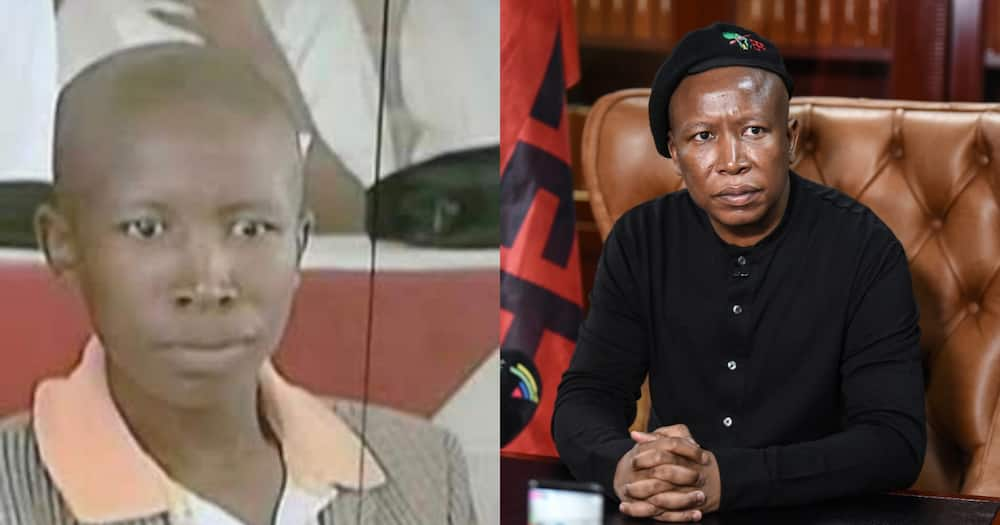 "Money Makes People Shine": SA Reacts to Julius Malema Throwback