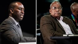 Latest update in State Capture report says Zuma's appointment of Mosebenzi Zwane likely influenced by Guptas