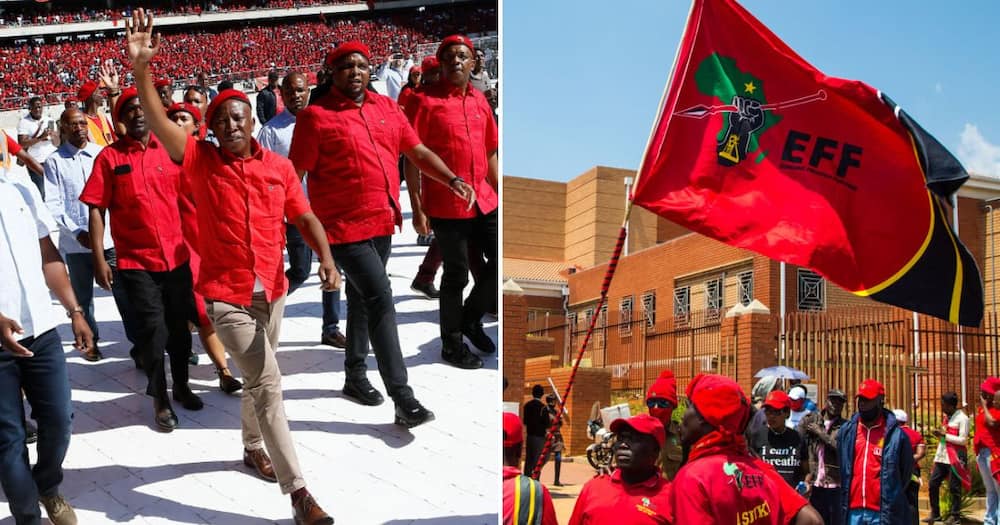 The Economic Freedom Fighters