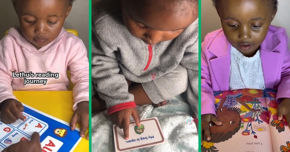 A well-read toddler amazed the internet
