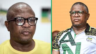 Fikile Mbalula is back on the scene, and Mzansi is convinced he should swap careers