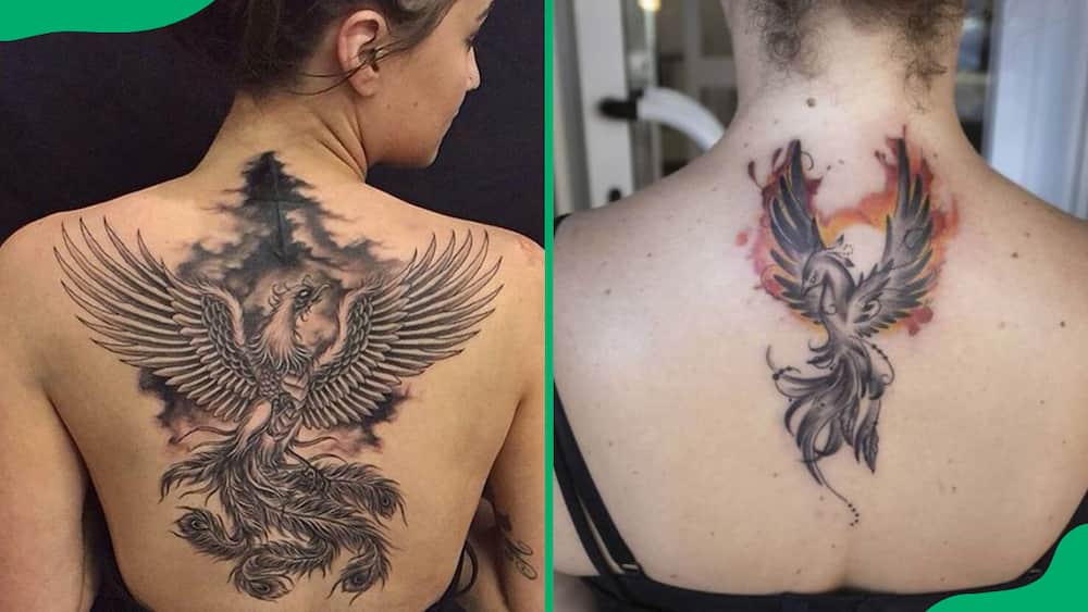 Phoenix back tattoos