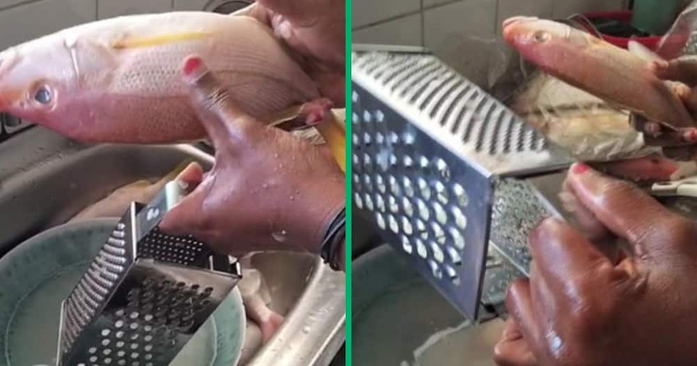 Woman's Fish Cleaning Hack in TikTok Video Impresses, Netizens in Awe of  Grater As Seafood Descaler 