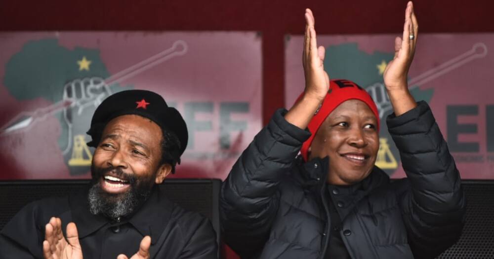 AbaThembu King, Julius Malema, BuyeleKhaya Dalindyebo, EFF, Economic Freedom Fighters, municipal elections