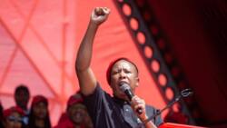 Malema accuses AfriForum of creating panic, denies conspiracy to kill white farmers