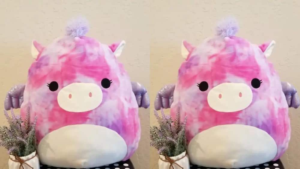 Willow Pegasus the pink Squishmallow