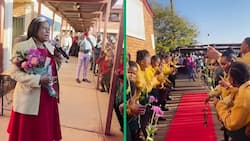Limpopo learners throw emotional farewell party for school principal