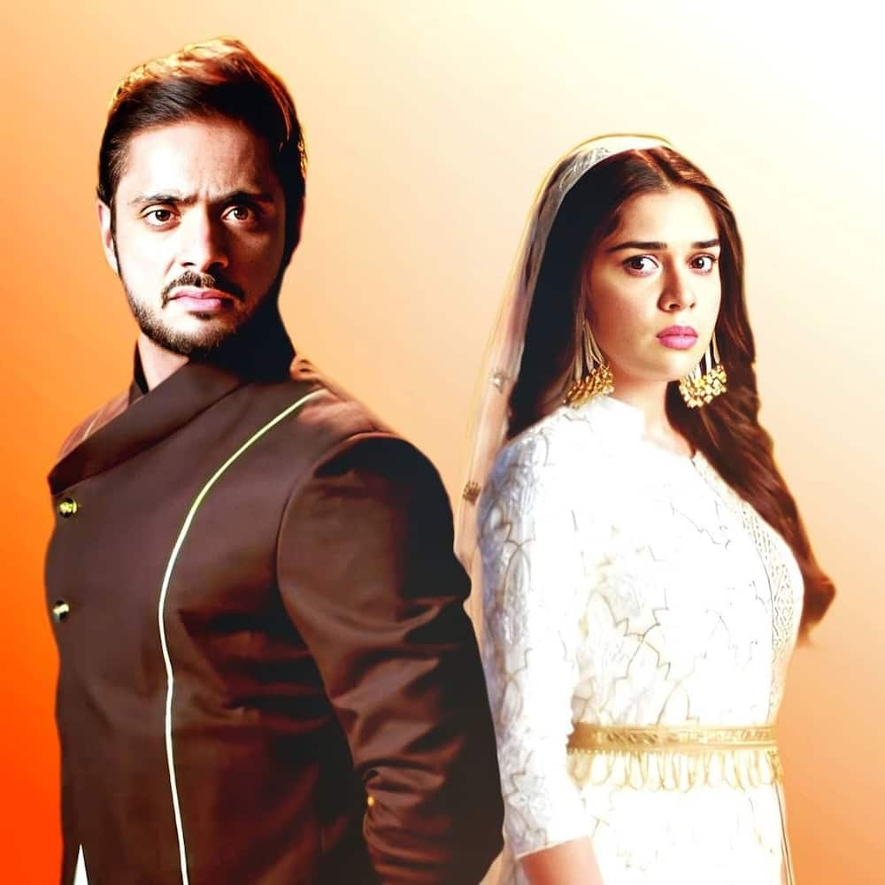 Kabeer And Zara Zee World Cast Full Story Plot Summary Teasers