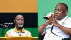 ANC integrity commission report wants corruption-implicated leaders to be removed