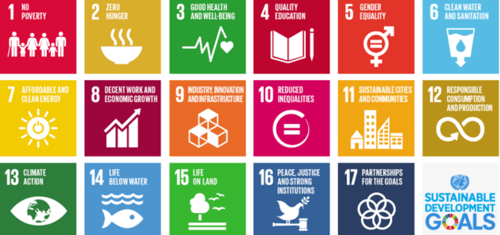 UN SDG Media Compact, Briefly News