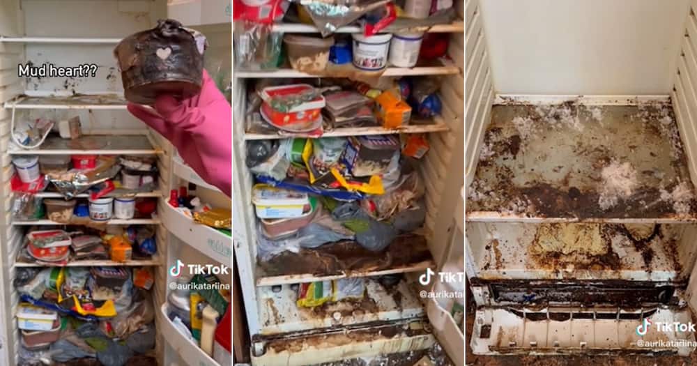Woman cleans fridge after three years