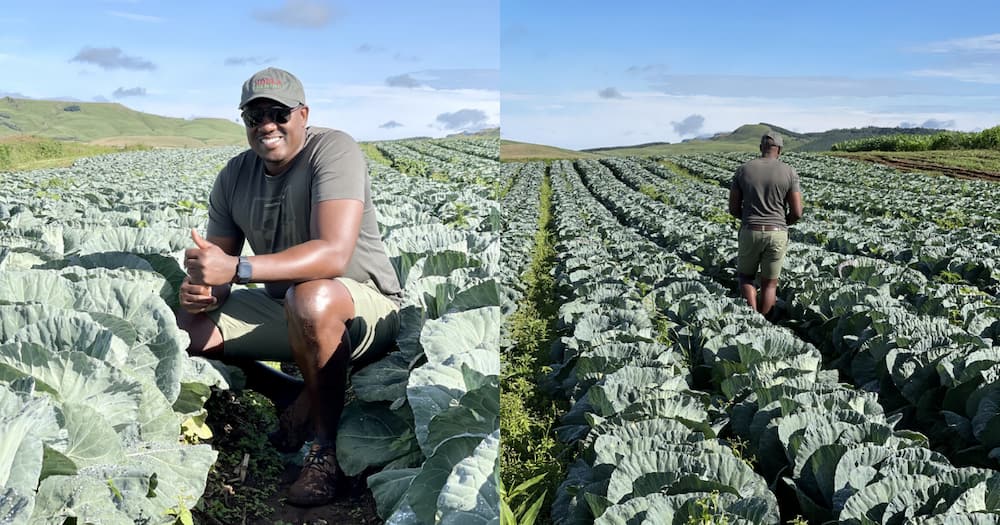 SA Man Flexes Farming Skills: "It’s the Quality of the Produce for Me"