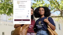 University of Stellenbosch online application 2024/2025: dates and requirements