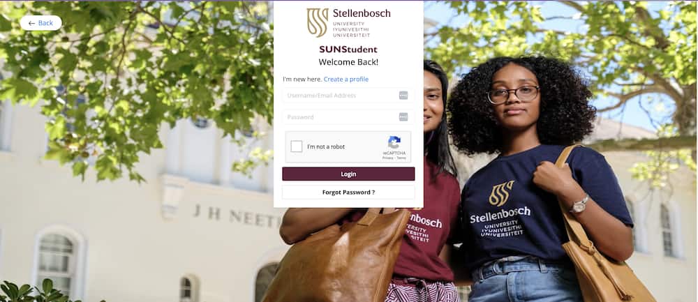 University of Stellenbosch online application