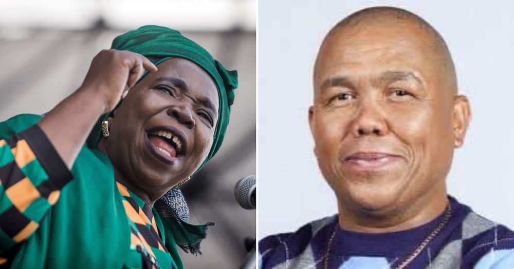 Nkosazana Dlamini-Zuma and Mervyn Dirks disobeyed ANC orders
