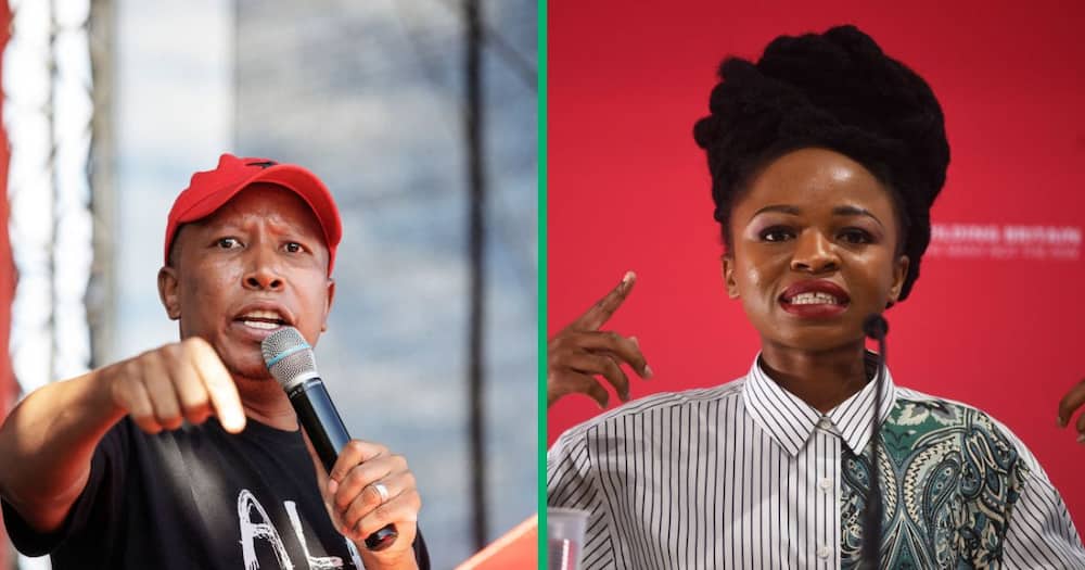 Julius Malema snubbed rumours that the EFF is against Naledi Chirwa