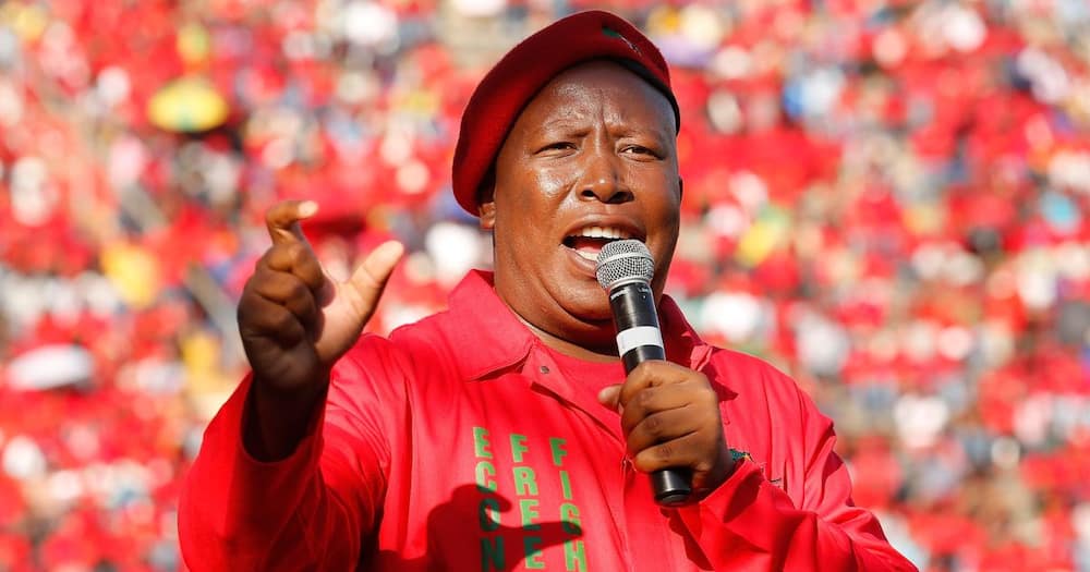 Julius Malema claims the EFF's national shutdown will be peaceful