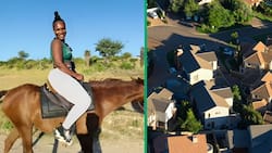 Woman flaunts luxurious homes in Polokwane and Pretoria, video trends