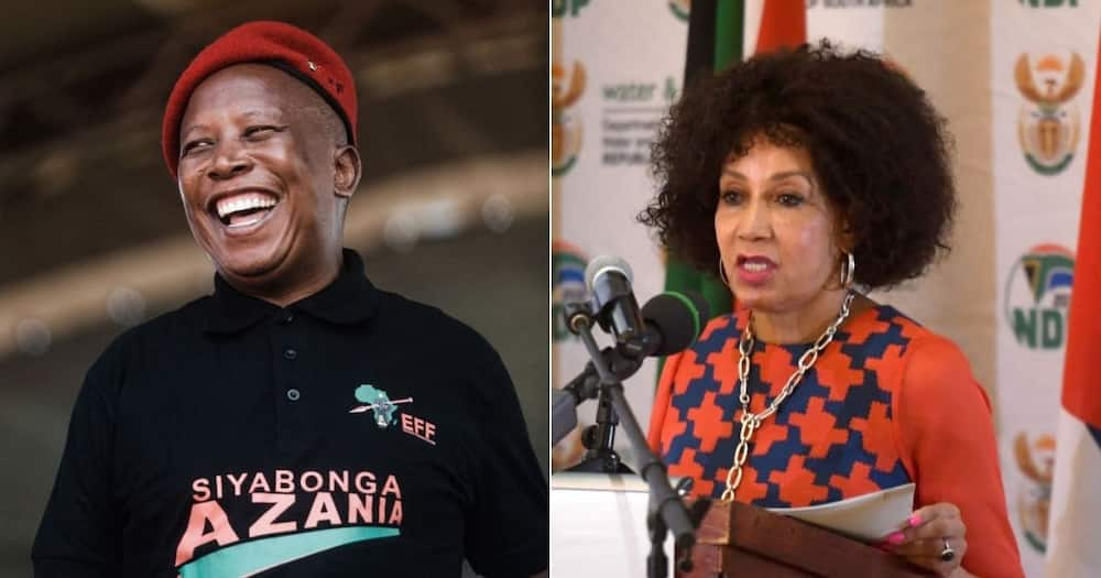 Lindiwe Sisulu, Economic Freedom Fighters, EFF, Raymond Zondo, Acting Chief Justice, South Africa