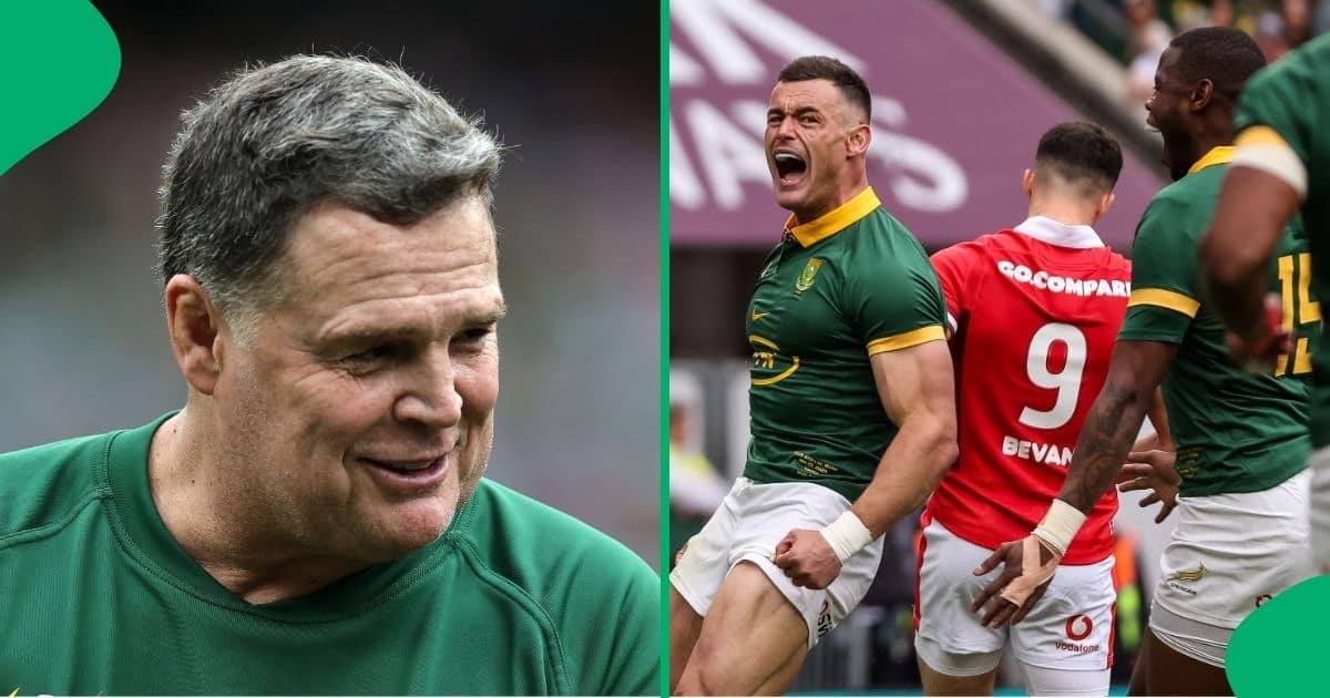 Coach Rassie Erasmus Gets Second Springboks Stint Underway With ...