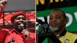 EFF’s Floyd Shivambu slams Energy Minister Gwede Mantashe for shortcomings after his criticism of De Ruyter
