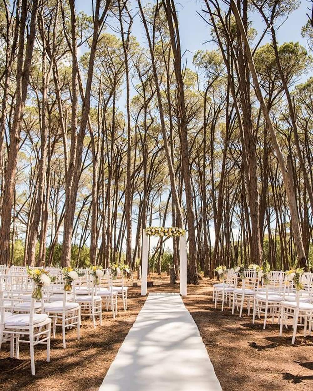 The most beautiful wedding venues in Stellenbosch