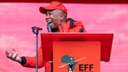 EFF Leader Julius Malema slams ANC for being controlled by "white monopoly capital", says it is used up