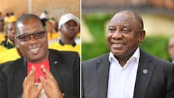 SA reacts to Cyril Ramaphosa saying there's no drama in ANC after appointing Panyaza Lesufi