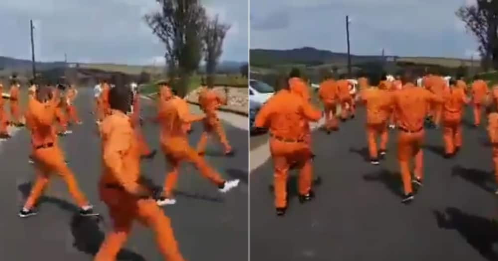 Jerusalema Challenge: SA reacts to inmates participating in movement Jerusalema Challenge: SA reacts to inmates participating in movement