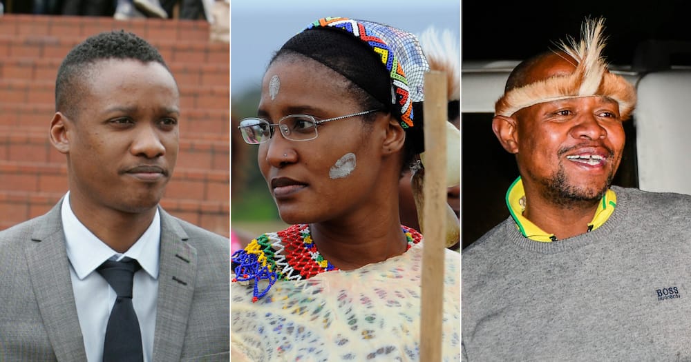 DA, Duduzane Zuma, Duduzile Zuma-Sambudla, Edward Zuma, Incitement of Violence, unrest