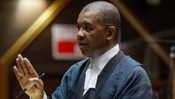 Dali Mpofu accuses Mkhwebane’s impeachment inquiry committee of apartheid-era treatment, SA says he’s taking chances