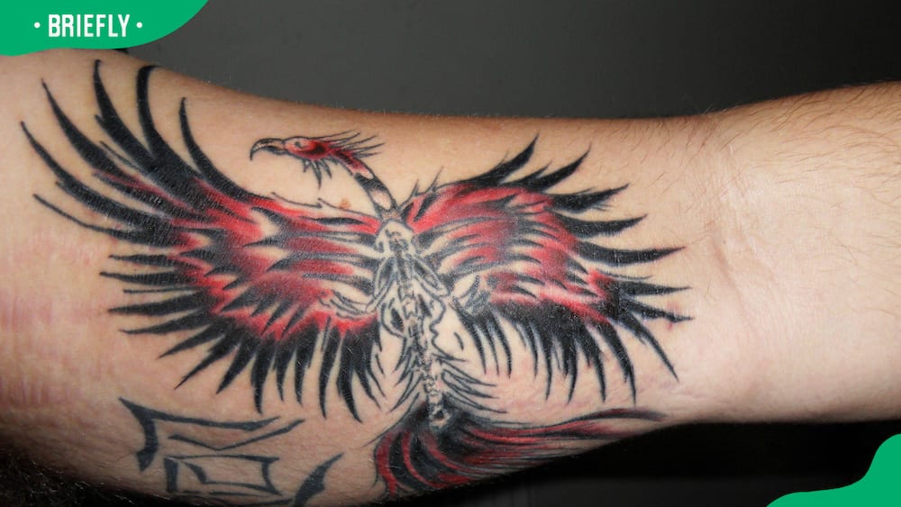 Skeletal phoenix tattoo