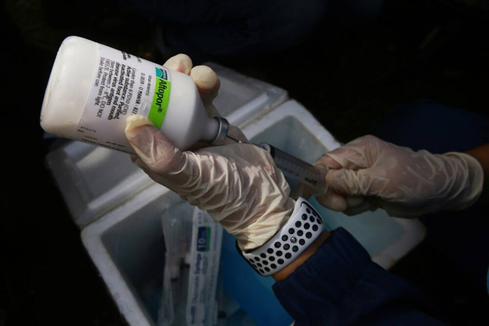 A veterinarian prepares a livestock vaccine for foot-and-mouth disease in Indonesia's Lampung province A veterinarian prepares a livestock vaccine for foot-and-mouth disease in Indonesia's Lampung province
