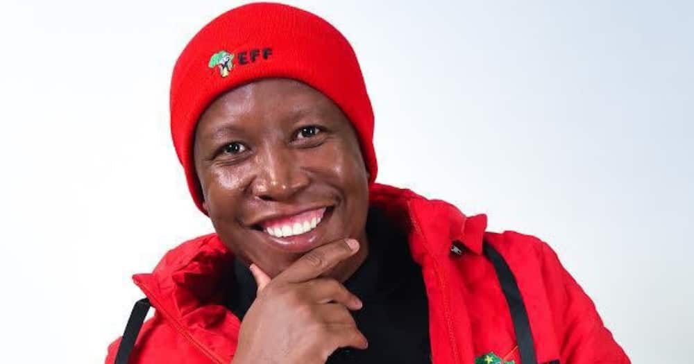 Julius Malema's EFF says no to 'mjolo' during the second wave lockdown