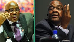 Mzansi has called for the protection of Minister Motsoaledi at all costs