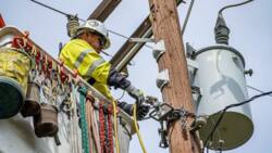 Average lineman salary in the USA 2022: What are the annual and hourly pay?