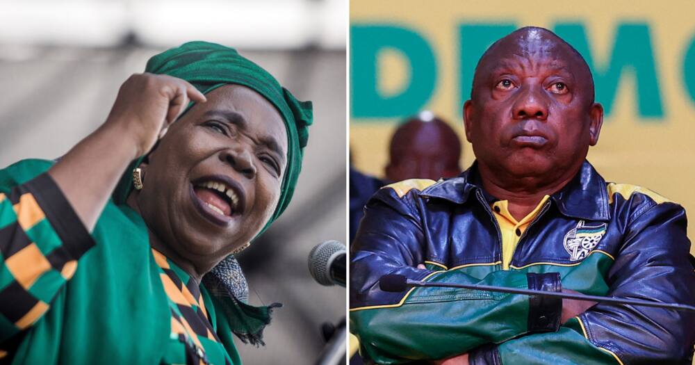 Nkosazana Dlamini-Zuma says Ramaphosa must step aside