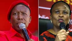 EFF and Public Protector Busisiwe Mkhwebane call for Parliament to be moved to Pretoria, Mzansi disagrees