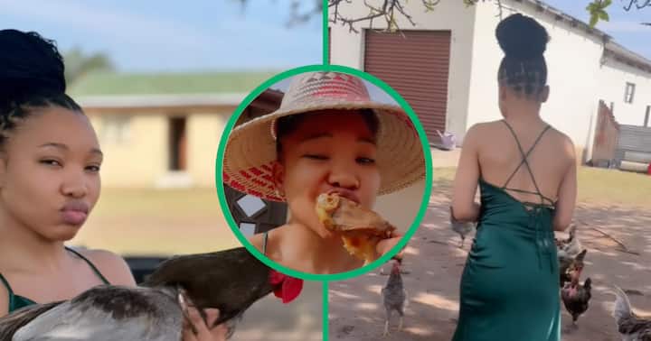 Mzansi Woman Chases Chickens In Silk Dress Tiktok Video Shows Her