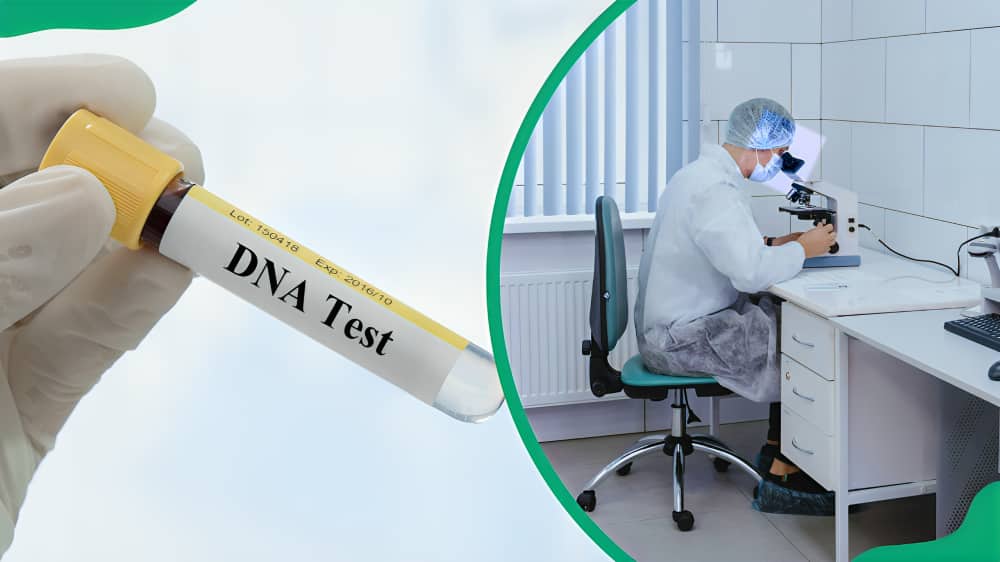 How much is a DNA test price in Johannesburg