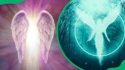 919 meaning: Here is what this angel number means for your life