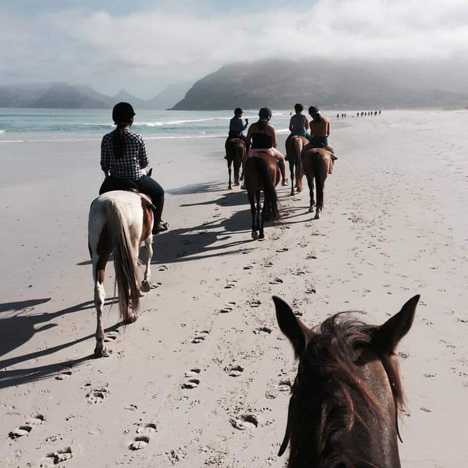 Memorable adventures in Cape Town- 10 affordable activities for outdoor lovers
