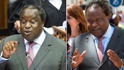 Tito Mboweni throws down in the kitchen again, Mzansi split as some claim former finance minister's cooking is improving
