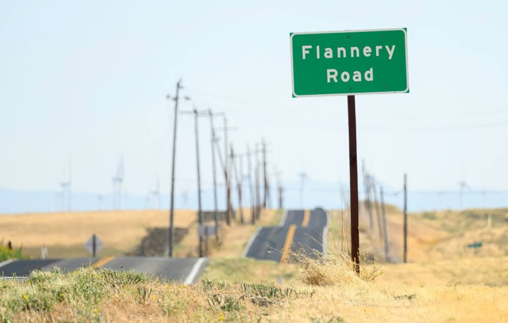 Swaths of rural land between San Francisco and Sacramento, in the western US state of California, were secretly purchased by tech tycoons keen on building a new city Swaths of rural land between San Francisco and Sacramento, in the western US state of California, were secretly purchased by tech tycoons keen on building a new city