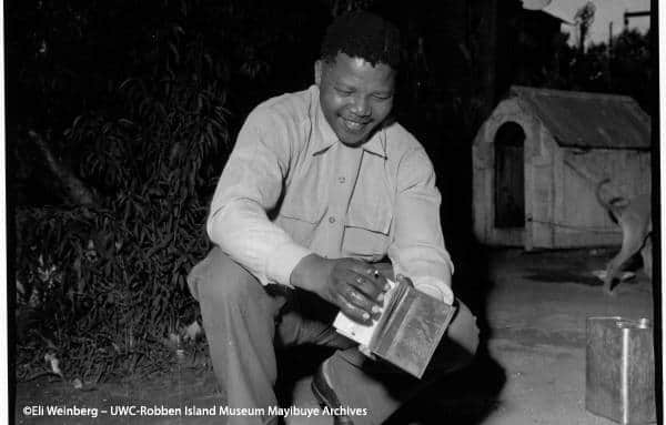 This day in history: Mandela burns his passbook to protest massacre