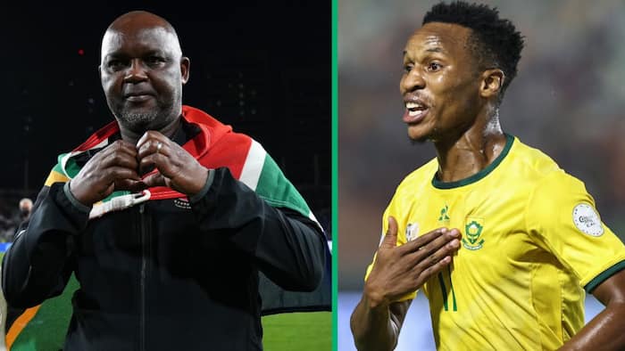 Decorated coach Pitso Mosimane jumps on Bafana midfielder Themba Zwane's appreciation bandwagon