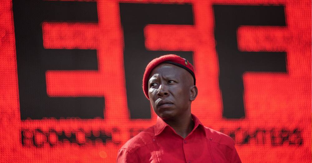 Julius Malema, EFF protest, Tshwane, vaccines, criminal charges, lockdown regulations, Level 3
