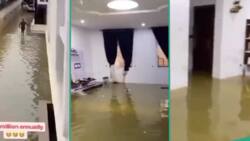 "No need for swimming pool": Video of flooded apartment rented for R46k stuns people