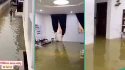 "No need for swimming pool": Video of flooded apartment rented for R46k stuns people